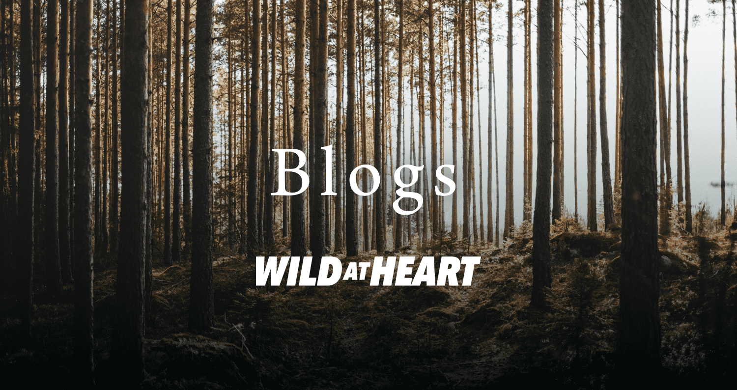 Wild at Heart: New Additions