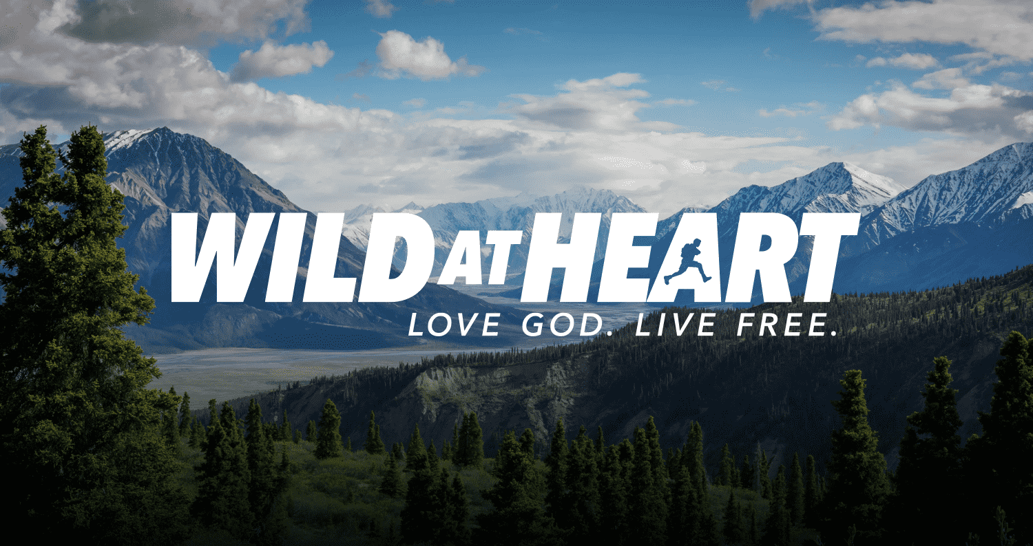 wild at heart where to watch