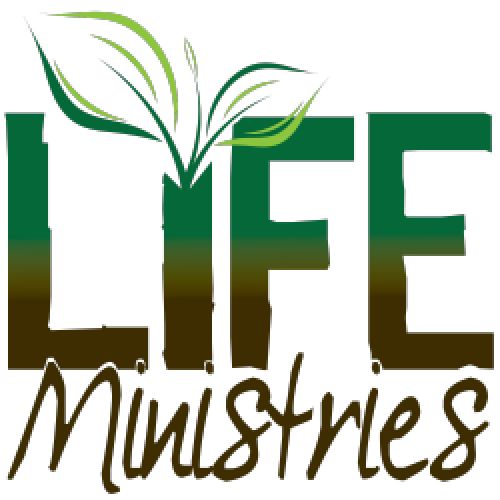 LIFE Ministries | Wild at Heart